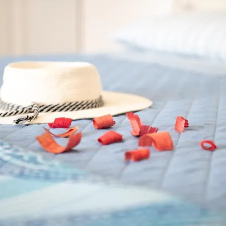 Maria's House 펜션