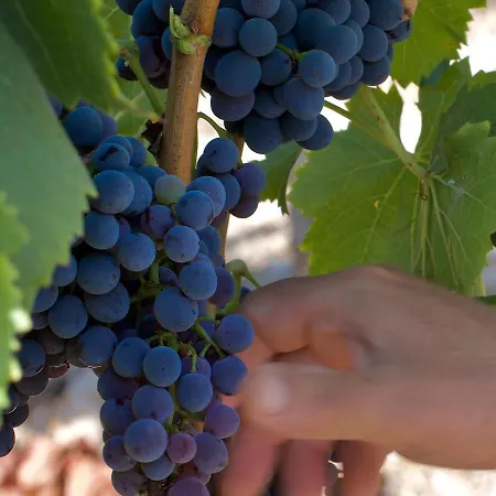 Maria's House 펜션 툴라다