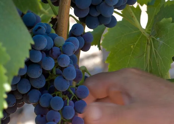 Maria's House Nyaraló Teulada